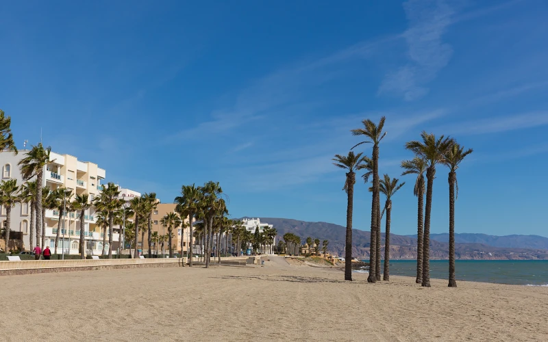 Beach with palm trees and buildings