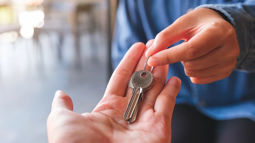 Property rental management in Spain